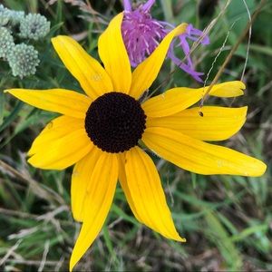 Meet your Posher, Wendy